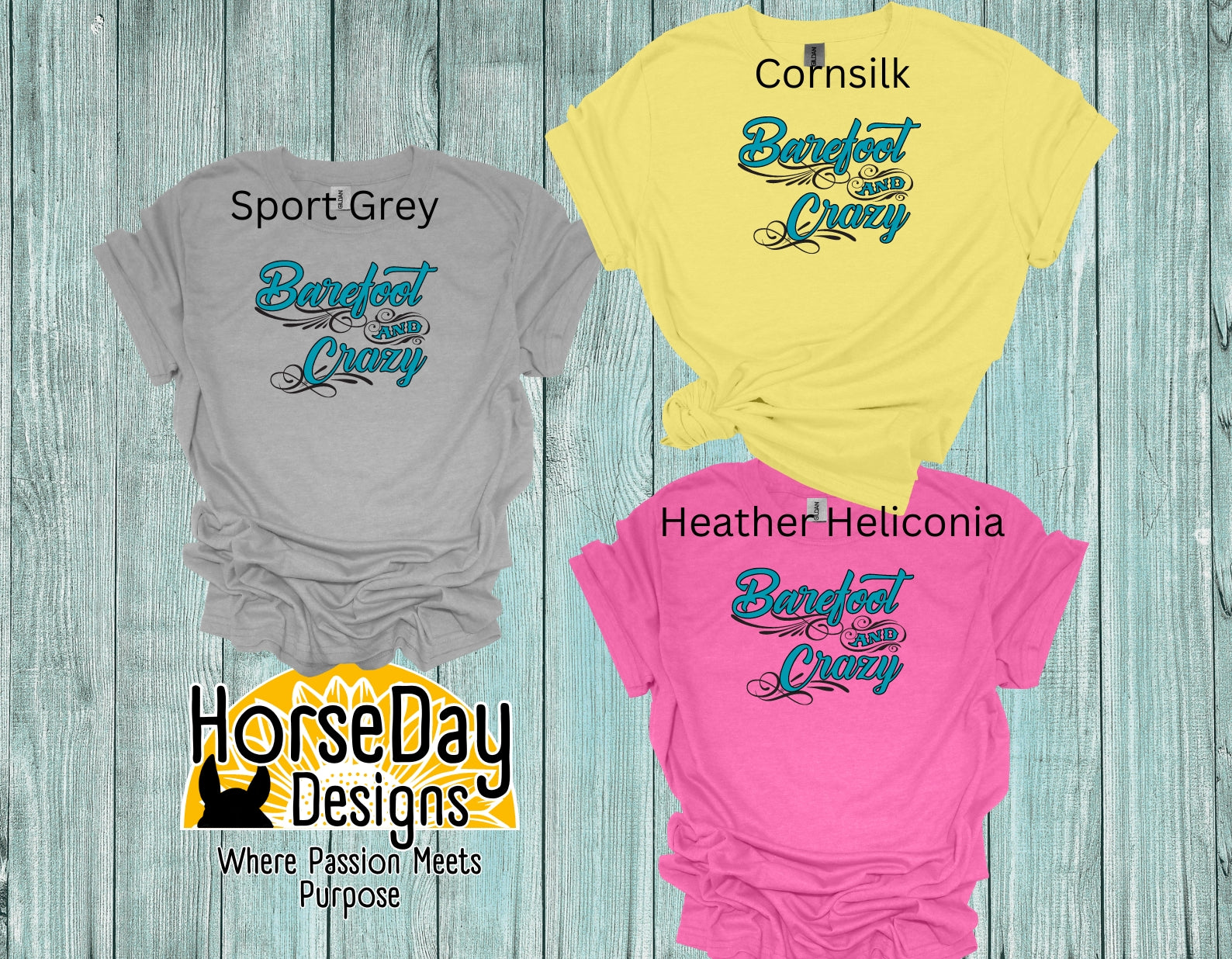 fun country t shirt in 3 colors