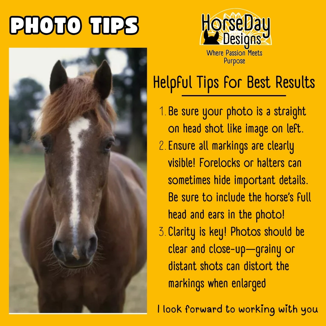 horse face marking t-shirt photo tips